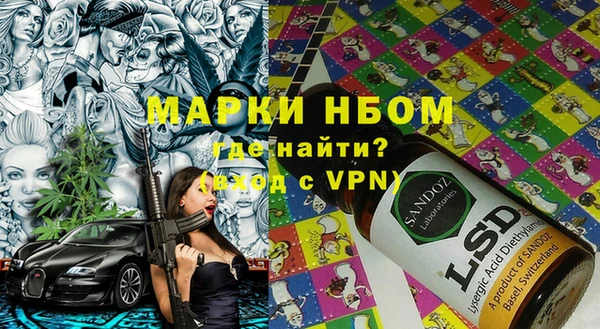 гашик Дмитров