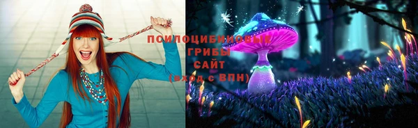 марки lsd Дмитриев