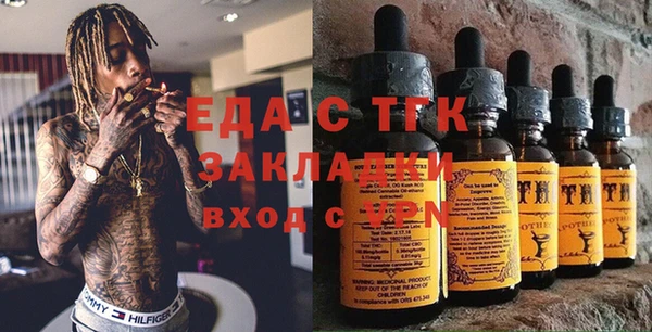гашик Дмитров
