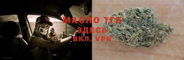 гашик Дмитров