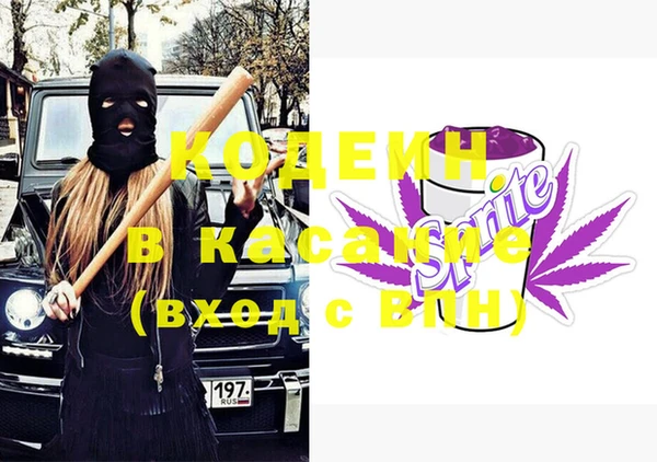 гашик Дмитров