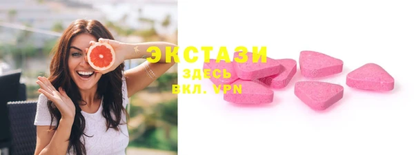 гашик Дмитров
