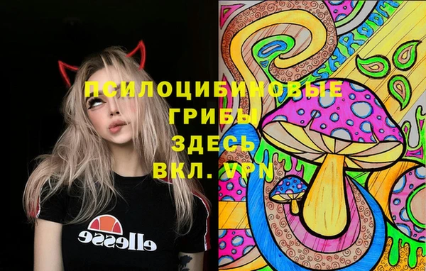 круглые Дмитровск