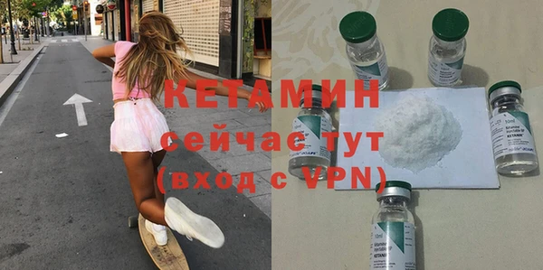 гашик Дмитров