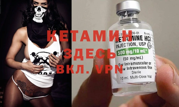 гашик Дмитров
