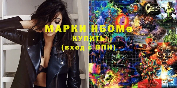 гашик Дмитров