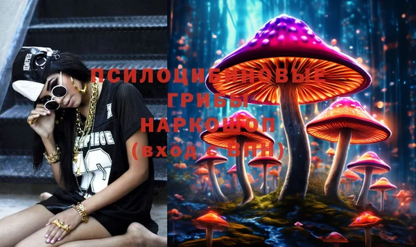 марки lsd Дмитриев