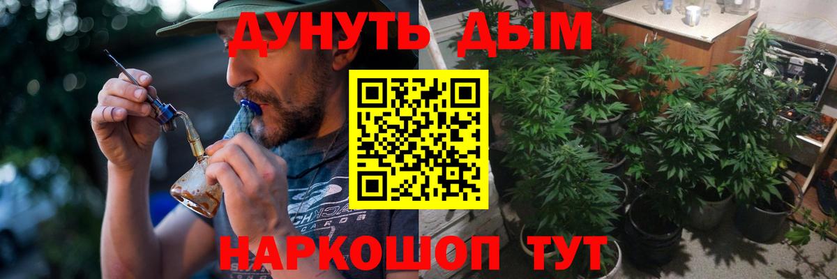 МАРИХУАНА семена  Вход с VPN  Зеленогорск  МАРИХУАНА THC 21%  Бошки Шишки MAZAR 